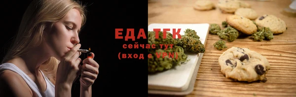 меф Ельня