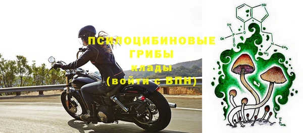 спайс Дмитриев
