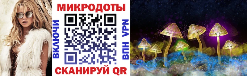 Псилоцибиновые грибы Magic Shrooms  Купить закладки  Среднеколымск 